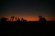 Okavango Delta travelogue picture