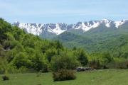 Looking up near the Val Fondillo