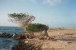 Oranjestad travelogue picture