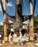 Orlando travelogue picture