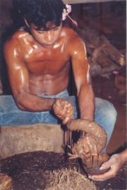 Extracting the juice for the Sakau ceremony Extracting the juice for the Sakau ceremony