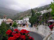 Typical view