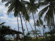 Panglao travelogue picture