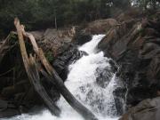 Natural stream inside the forest Natural stream inside the forest
