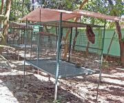 There cages were far too small, or too much in the sun. I most pitied the owls. There cages were far too small, or too much in the sun. I most pitied the owls.