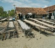 Fish drying in the sun