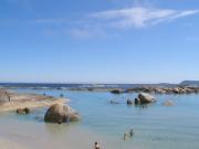 Green Pools @ Denmark