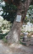 Phnum Penh travelogue picture