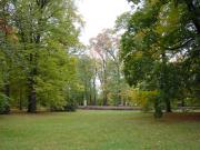 The lush green landscape of the Park.