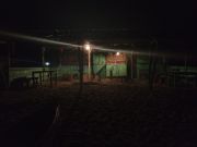 The Reggae Bar
