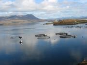 Fish farm - Tanera Mor