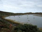 Old Dornie Harbour