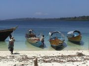 Havelock boats