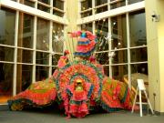 Carnival Costumes 2