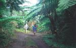 Port-Vila travelogue picture