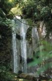 Pozuzo travelogue picture