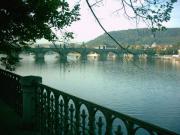 Charles Bridge from up river