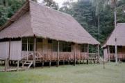 Our Jungle Hut