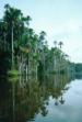 Puerto Maldonado travelogue picture