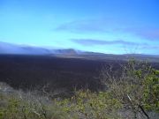 Sierra Negra volcano crater