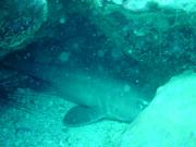 Pulau Perhentian Besar travelogue picture