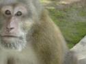 Pulau Perhentian Besar travelogue picture