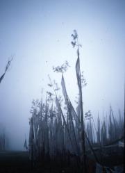 Bhutan, betwen Wangdue Phrobang, Prayer flags in Fog