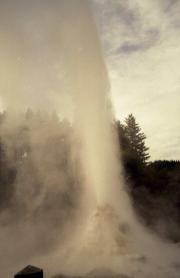 Lady Knoxx Geyser