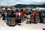 Friday market in San Francisco el Alto - 40 minutes from Xela. Friday market in San Francisco el Alto - 40 minutes from Xela.