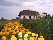 Norwegian farm home