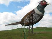 Regent travelogue picture