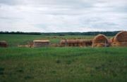 Bales Of Hay