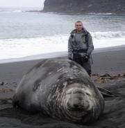 Sea elephant of Kerguelen with my friend Adrien (meteorologist)