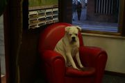 wow, what's nice house and cozy sofa, tonight i will have a good sleep!! wow, what's nice house and cozy sofa, tonight i will have a good sleep!!