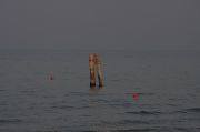 the lonely seaside