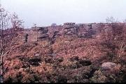 Some of the rocks, Brimham