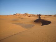 Rissani travelogue picture