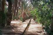 Rissani travelogue picture