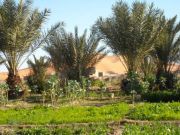 Rissani travelogue picture