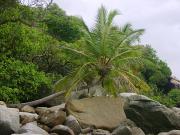 Little Bay Beach rocks