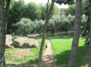 Palatino