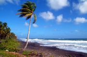 Western Dominica