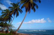 Dominica's north-east