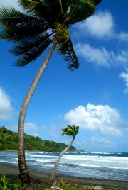 Northern Dominica beaches Northern Dominica beaches