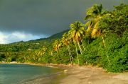 Northern Dominica, full of rainbows. Northern Dominica, full of rainbows.