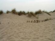 Camber Sands