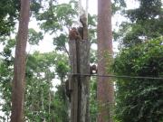 Sabah travelogue picture
