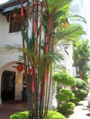 My hotel