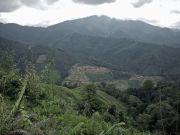 Kinabalu National Park