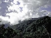 Kinabalu National Park